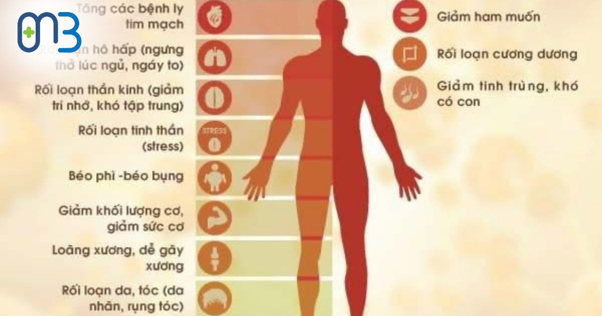 Các dấu hiệu và triệu chứng cho thấy testosterone thấp: